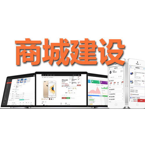 2021年獨立網店系統哪個好