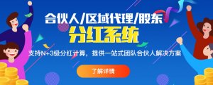 團隊合伙人分紅系統模式都有哪些好